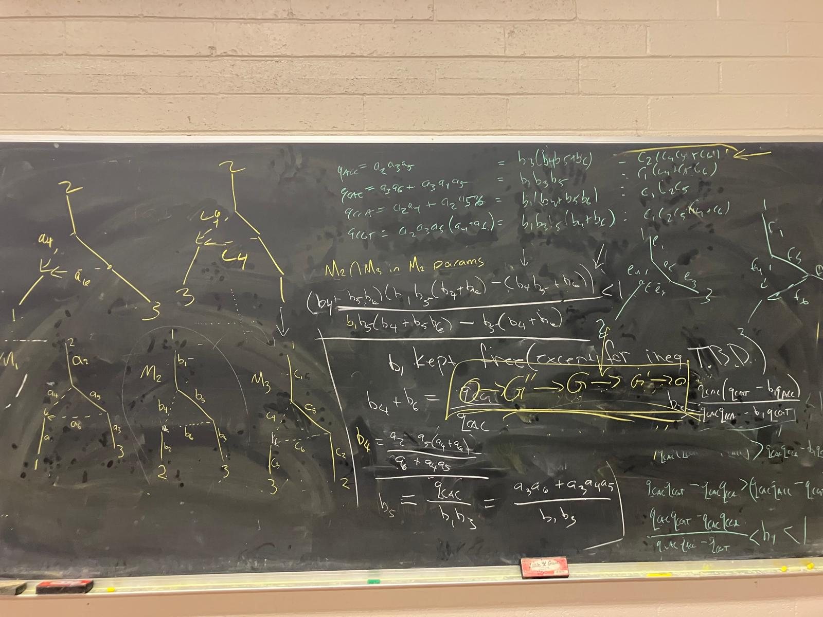 Blackboard with phylogenetic models