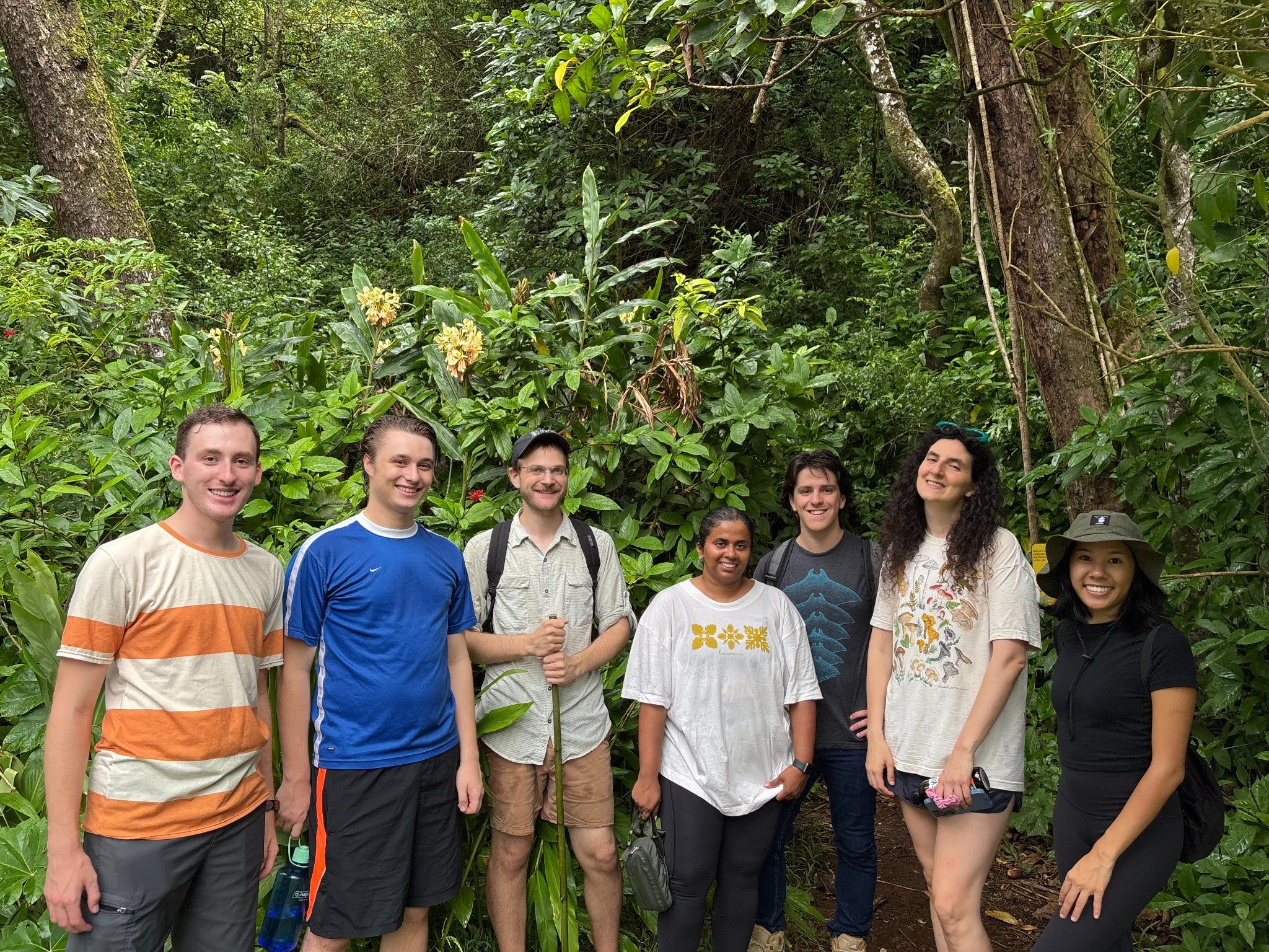 Students in a Hawaiʻi forest